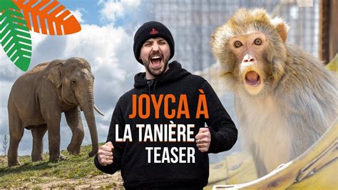 JOYCA à La Tanière TEASER YouTube