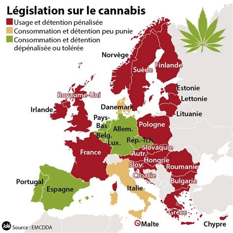 La France Est Le Plus Gros Consommateur De Cannabis D Europe