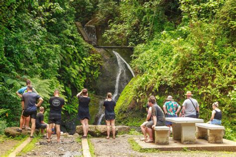 Waitangi Bay Of Islands Attractions Things To Do