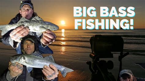 Big Bass Bonanza Catching Big Monster Bass Beach Fishing Uk Youtube