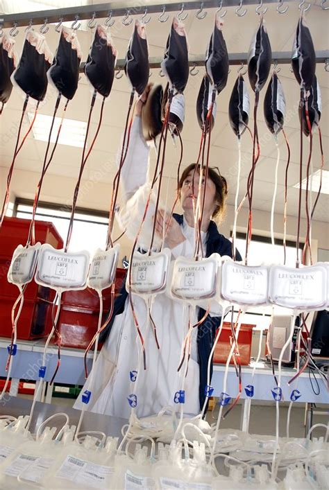 Donor Blood Processing Stock Image C Science Photo Library