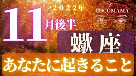 蠍座♏️ 【11月後半あなたに起きること🌈】2022 ココママの個人鑑定級タロット占い🔮 Youtube