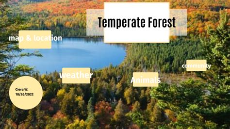 temperate forest: biome by Ciera Whited on Prezi