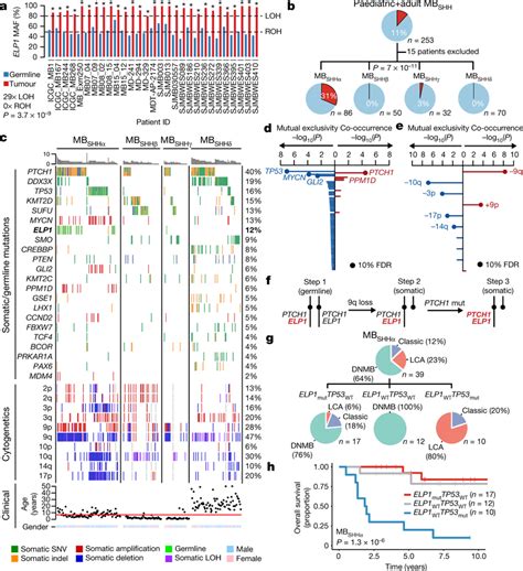 Somatic Mutation Landscape Of Elp Associated Medulloblastoma A