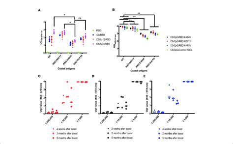 Cross Reactivity And Durability Of Antibody Responses To Diverse