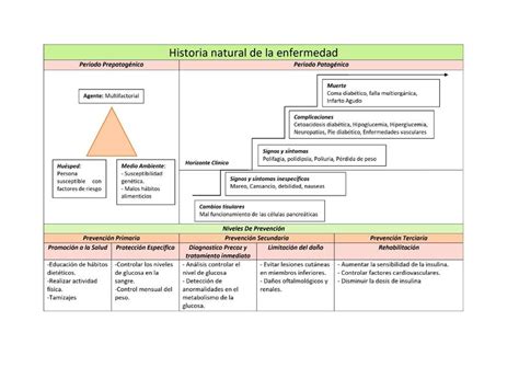 Historia Clinicamapas Conceptuales Diagnostico Medico Diabetes Images