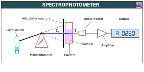 Unlocking the Spectrum: Exploring Spectrophotometer Applications 2024 ...