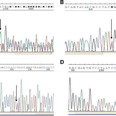 Dna Sequence Chromatograms A Complex Re Arrangement With 24 Bp