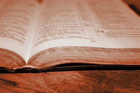 Sepia Bible Free Stock Photo - Public Domain Pictures