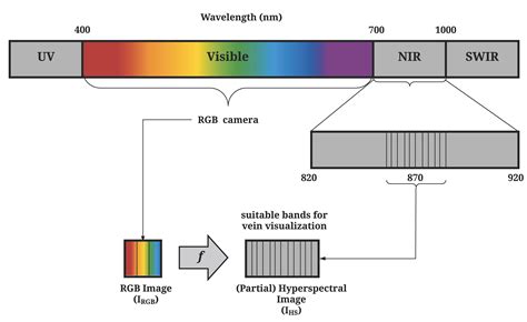 Hyperspectral Reconstruction from RGB Images for Vein Visualization