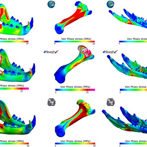 Comparison Of Von Mises Stress Contour Plots Obtained Using Metafor