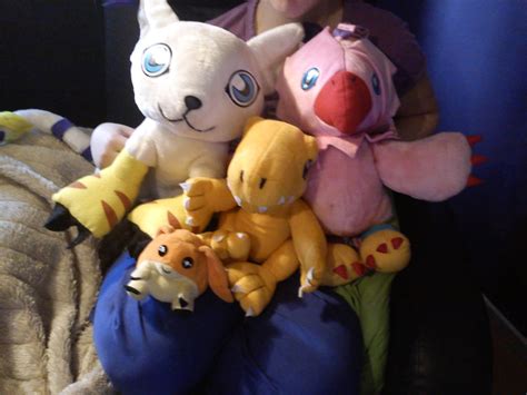 My Gatomon Biyomon Agumon Patamon Plushies X3 by CatDasher on DeviantArt