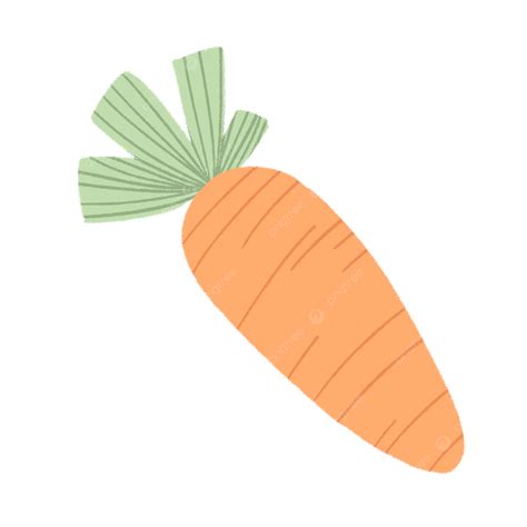 Hand Drawn Carrot Vegetable Elements Carrot Cute Vegetables Png