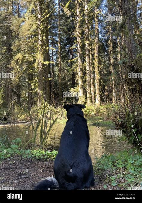 Seeing Nature Through Anothers Eyes Stock Photo Alamy