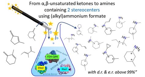 Enzymatic Synthesis Of Primary Secondary And Tertiary Amines