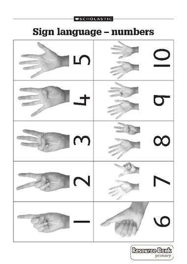 Sign Language Numbers Free Primary Ks1 Teaching Resource Scholastic