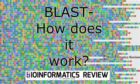 How BLAST works - Concepts, Types, & Methods Explained — Bioinformatics ...