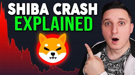 SHIBA INU CRASH EXPLAINED SHIBA INU COIN IS JUST GETTING STARTED