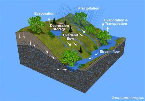 A Field Trip Through The Water Cycle Runoff And Infiltration