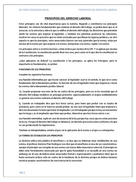 Principios Del Derecho Laboral 3m Pdf