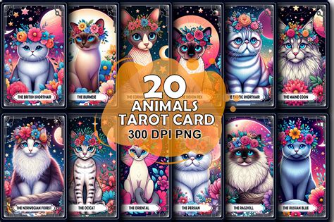 Cute Cat Tarot Card Sublimation Bundle Gráfico por jahanul Creative