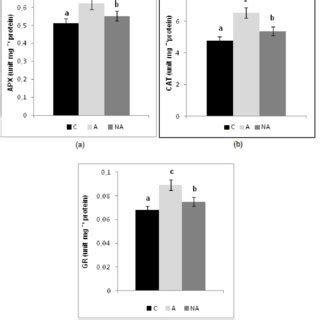 A Changes In Apx Unit Mg Protein B Cat Unit Mg Protein C