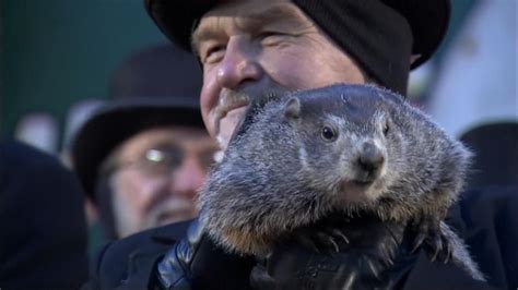 Groundhog Day: Did Punxsatawney Phil see his shadow? | US News | Sky News