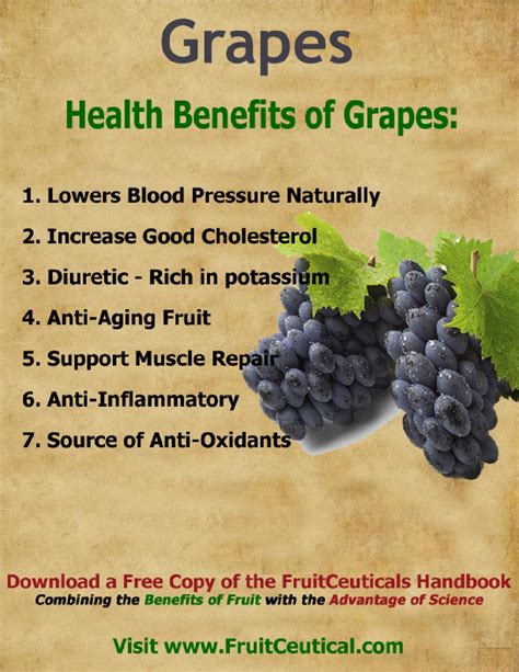 258956204 health benefits of grapes by fe binan - Issuu