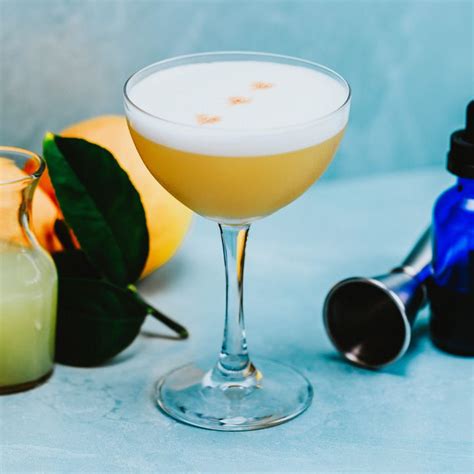 Whiskey Sour Cocktail Recipe