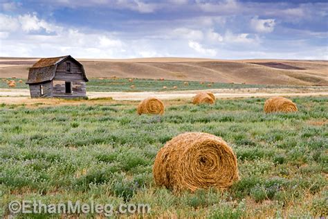 Saskatchewan - Alchetron, The Free Social Encyclopedia