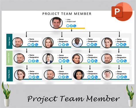 Project organization chart - Diirzal