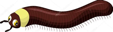 Cute Millipede Cartoon For You Design — Stock Photo © Starlight789