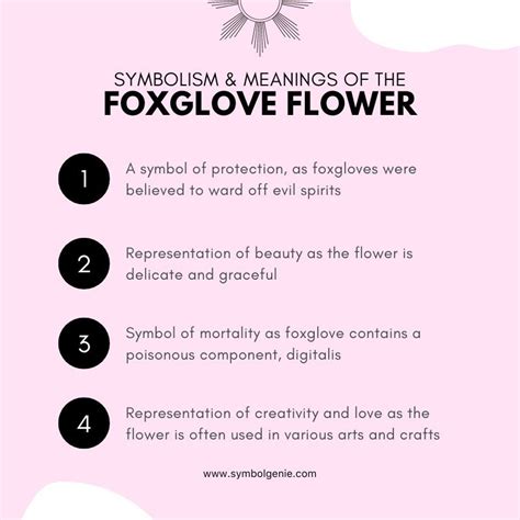 Foxglove Flower: Symbolism, Meanings, and History - Symbol Genie