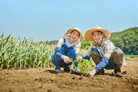 이재명표 농민기본소득 5월부터 지급개시매월 5만원 한국일보