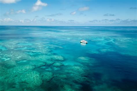 How Tourists Can Help Protect The Great Barrier Reef Sailing Whitsundays