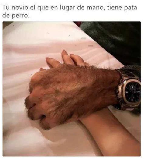 Tu Novio El Que En Lugar De Mano Tiene Pata De Perro Memes