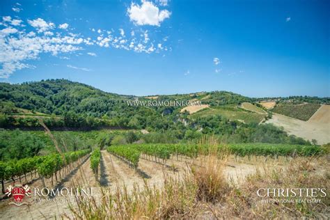 AZIENDA AGRICOLA VITIVINICOLA BIOLOGICA IN VENDITA EMILIA ROMAGNA