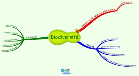 La biodiversité c est quoi CP CE1 CE2 Maître Lucas