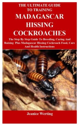 The Ultimate Guide To Training Madagascar Hissing Cockroaches: The Step ...