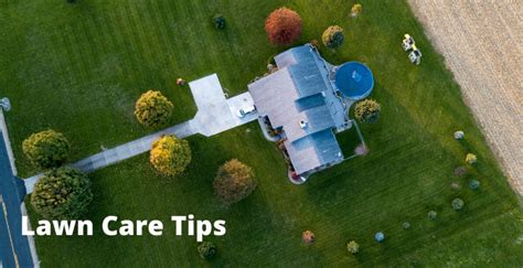 Lawn Care Tips For Beginners