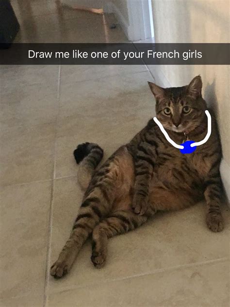 Draw Me Like One Of Your French Girls Cat