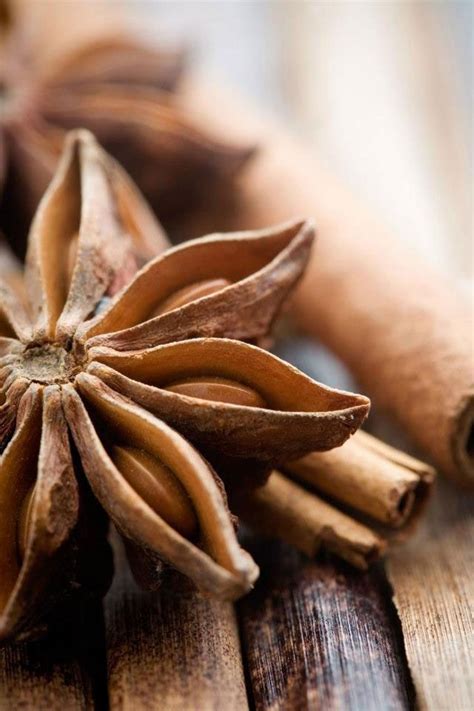 Spices And Herbs Star Anise Flavor Profiles Raw Food Recipes Food