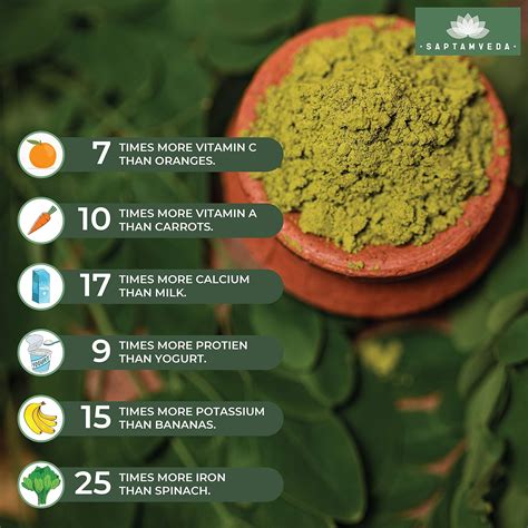 Know All About Moringa Powder Benefits And More Girlsbuzz