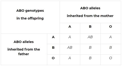 Allele Definition And Examples Biology Online Dictionary