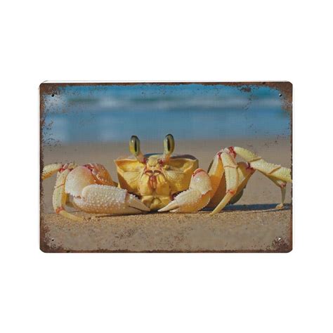 Crab Beach Sand Animals Wall Art Design tin sign Print Decor for Home