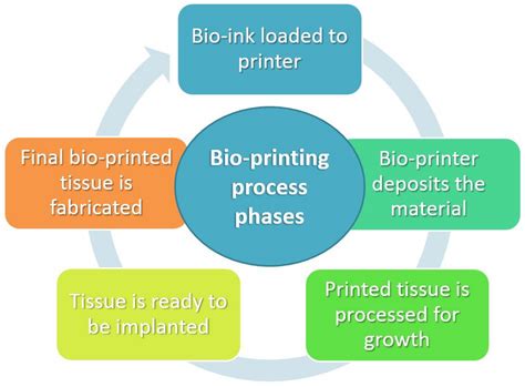 IJMS Free Full Text 3D Printing In Regenerative Medicine