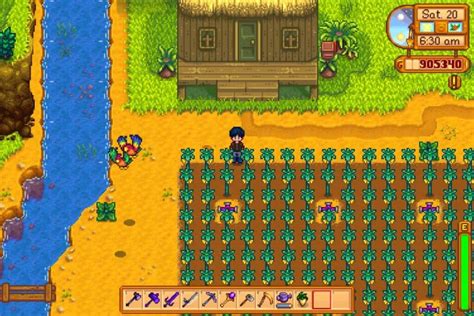 Best Winter Crops in Stardew Valley | High Ground Gaming