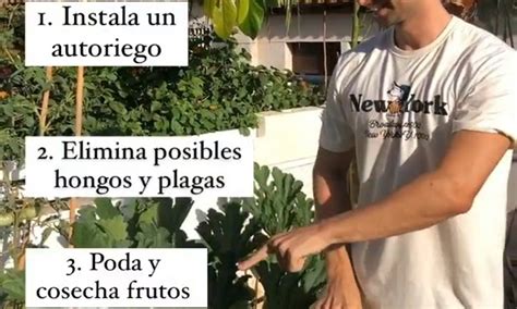 Cuidar Las Plantas Cuando Te Vas De Vacaciones 3 Consejos