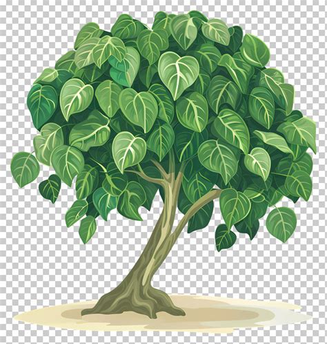 peepal tree drawing easy step  step