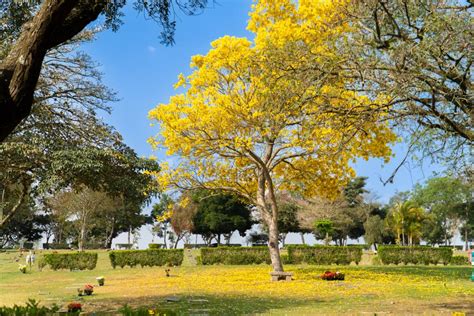 Conhe A O Memorial Parque Jaragu